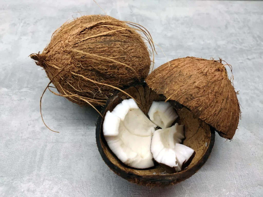 Coco Fracionado Coco Fracionado