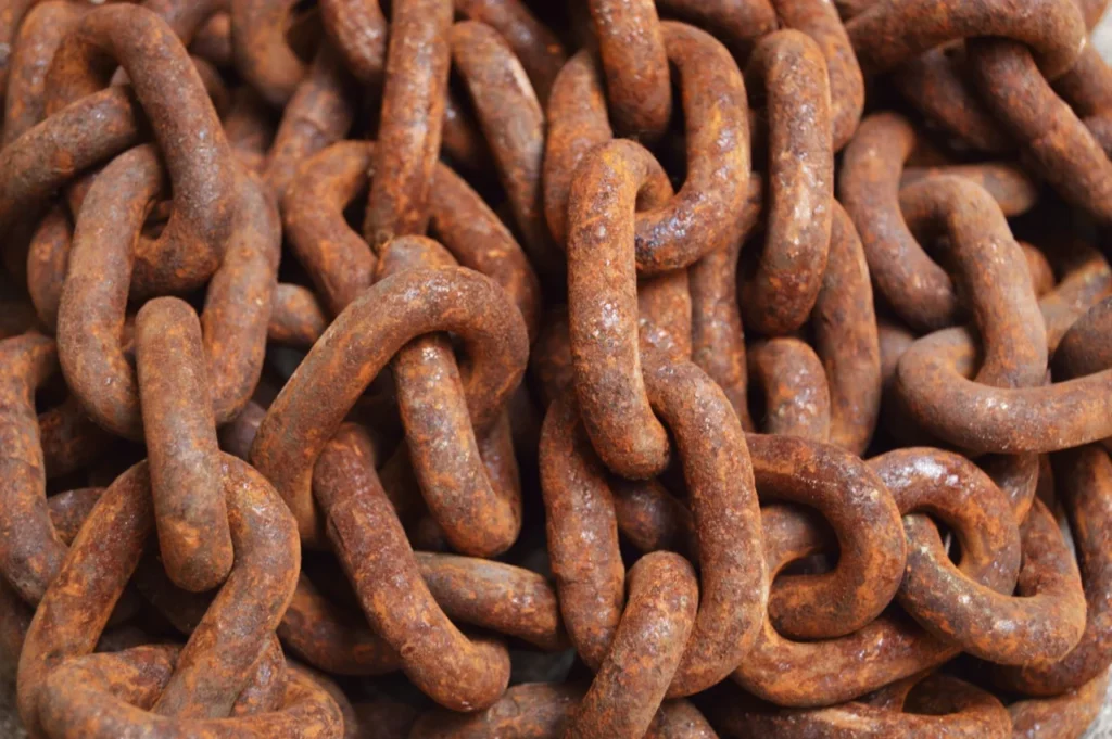 Oxidação Lipídica